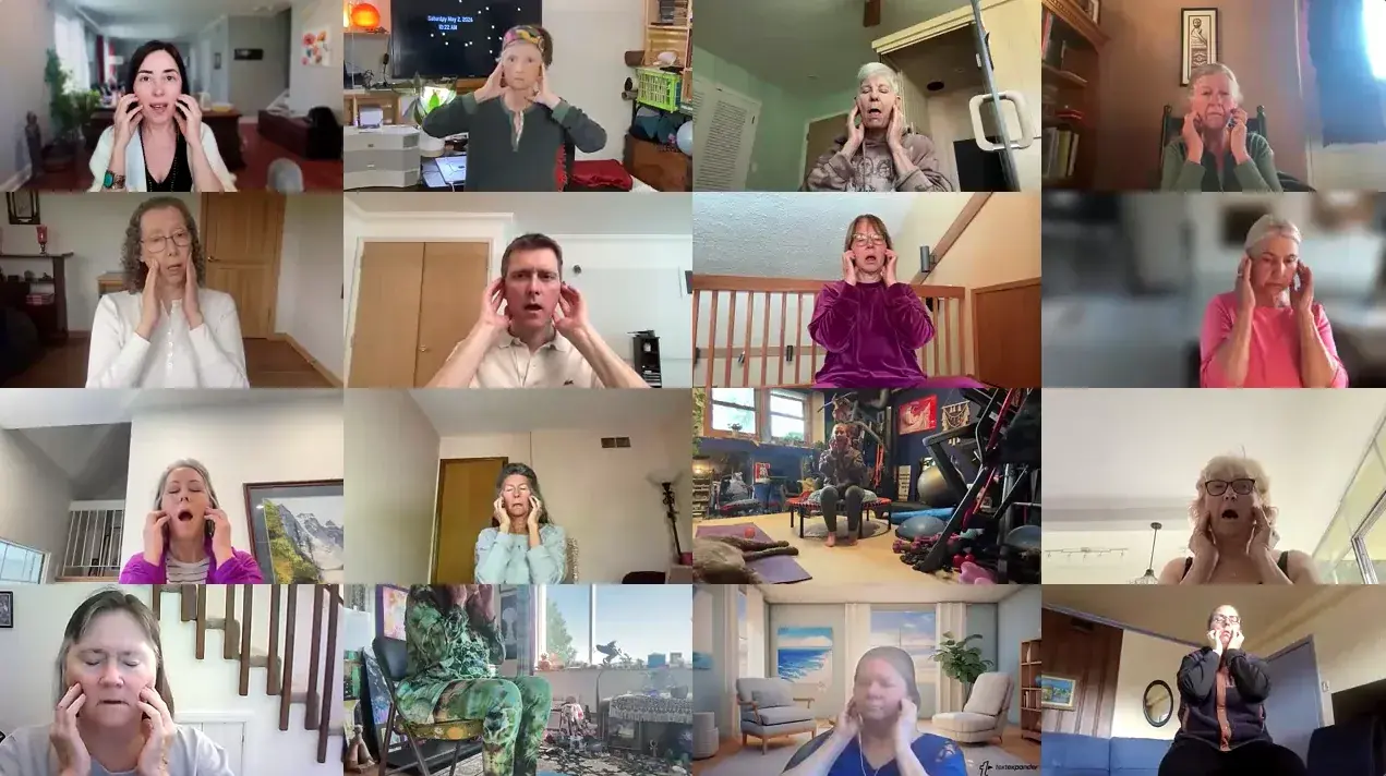A live online somatic session in progress